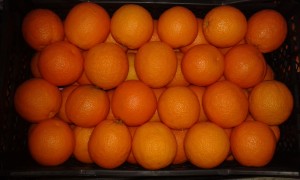 20150304_082327